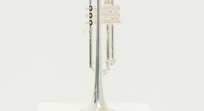 XO 1602SS-LTR